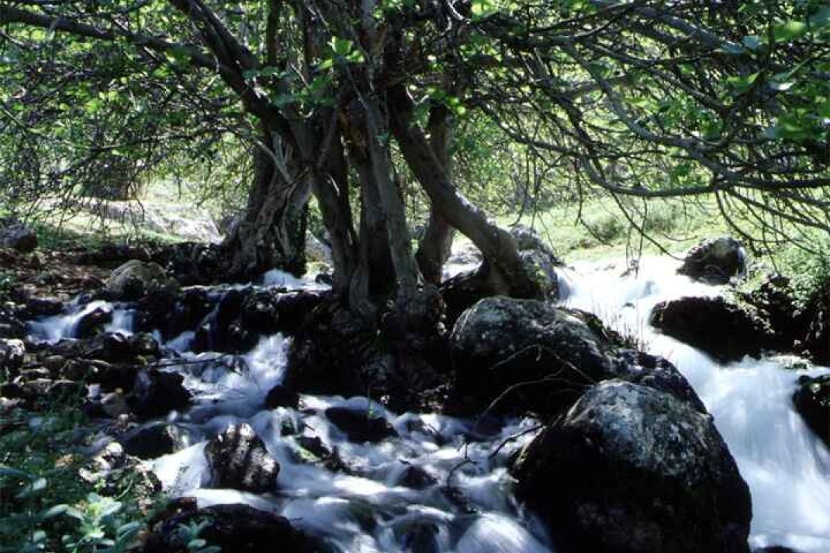 El Consejo de Gobierno declara diez nuevos monumentos naturales en Andalucía