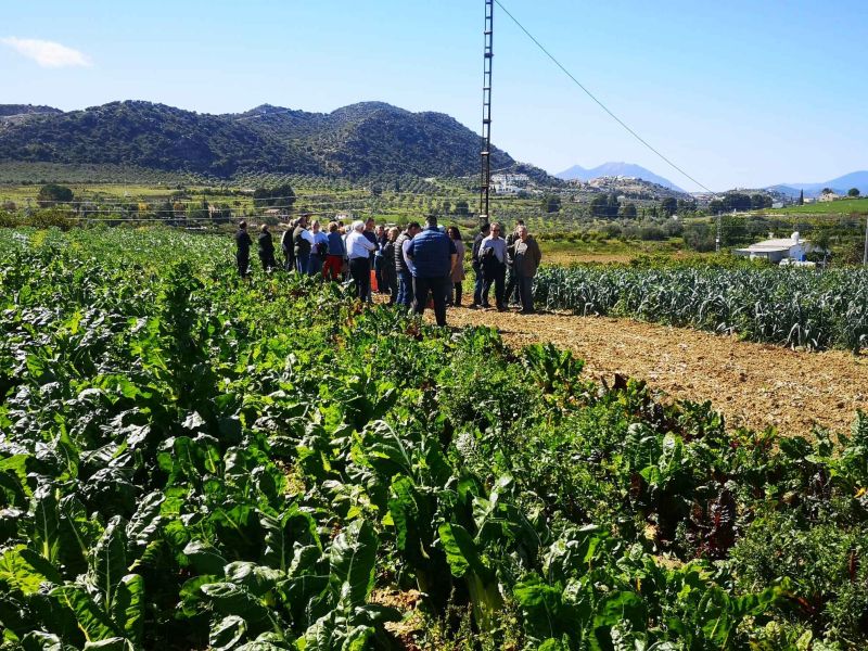 La Academia Gastronómica de Málaga  organiza el Encuentro gastronómico “Huerta del Guadalhorce”