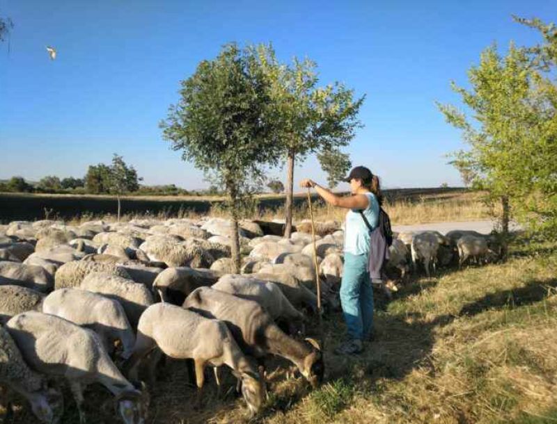 La Escuela de Pastores y Pastoras de Andalucía clausura su XIII edición en Cortegana