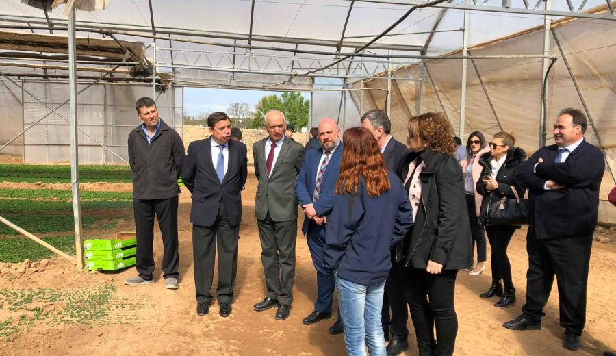 Luis Planas anima a las cooperativas a ganar dimensión y apostar por la transformación para generar mayor riqueza en el mundo rural