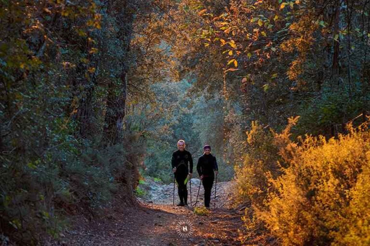 El I Foro de Ecoturismo de Andalucía arranca hoy con el apoyo del GDR Sierra de Aracena y Picos de Aroche