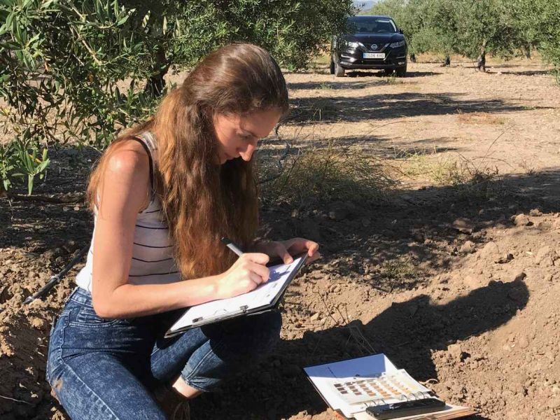 La revista Mercacei se hace eco de las conclusiones del proyecto H2Olivetree del GDR Serranía Suroeste Sevillana