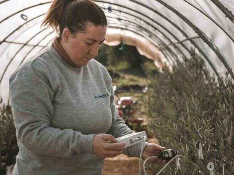 Blog Valor Rural de ARA: abierta la convocatoria de ayudas LEADER en Andalucía