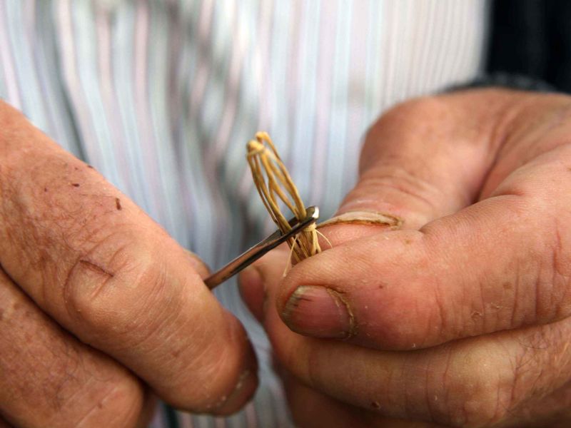 Jornadas informativas para la creación y desarrollo de productos a partir de la fibra natural de esparto y cáñamo