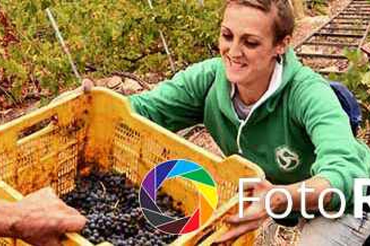 El músculo de las mujeres rurales, premio FADEMUR del concurso FotoRural