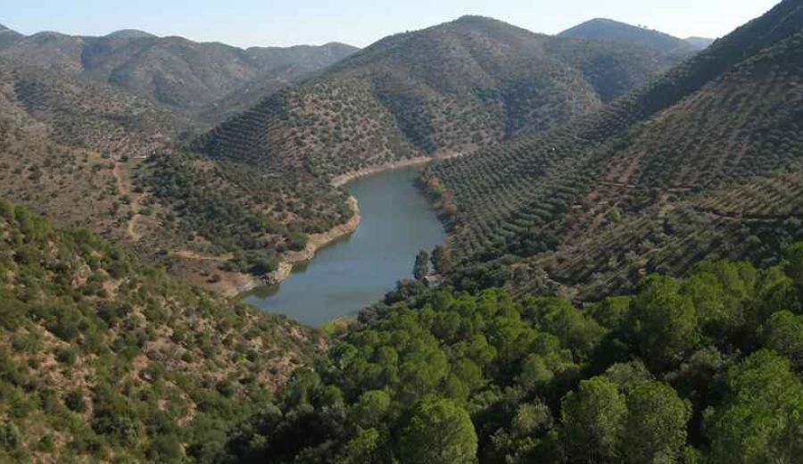 Un proyecto de la Universidad de Córdoba recuperará la tradición culinaria del pasado histórico de la sierra Morena de Córdoba