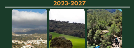 Cara 1 Portada 30639e21