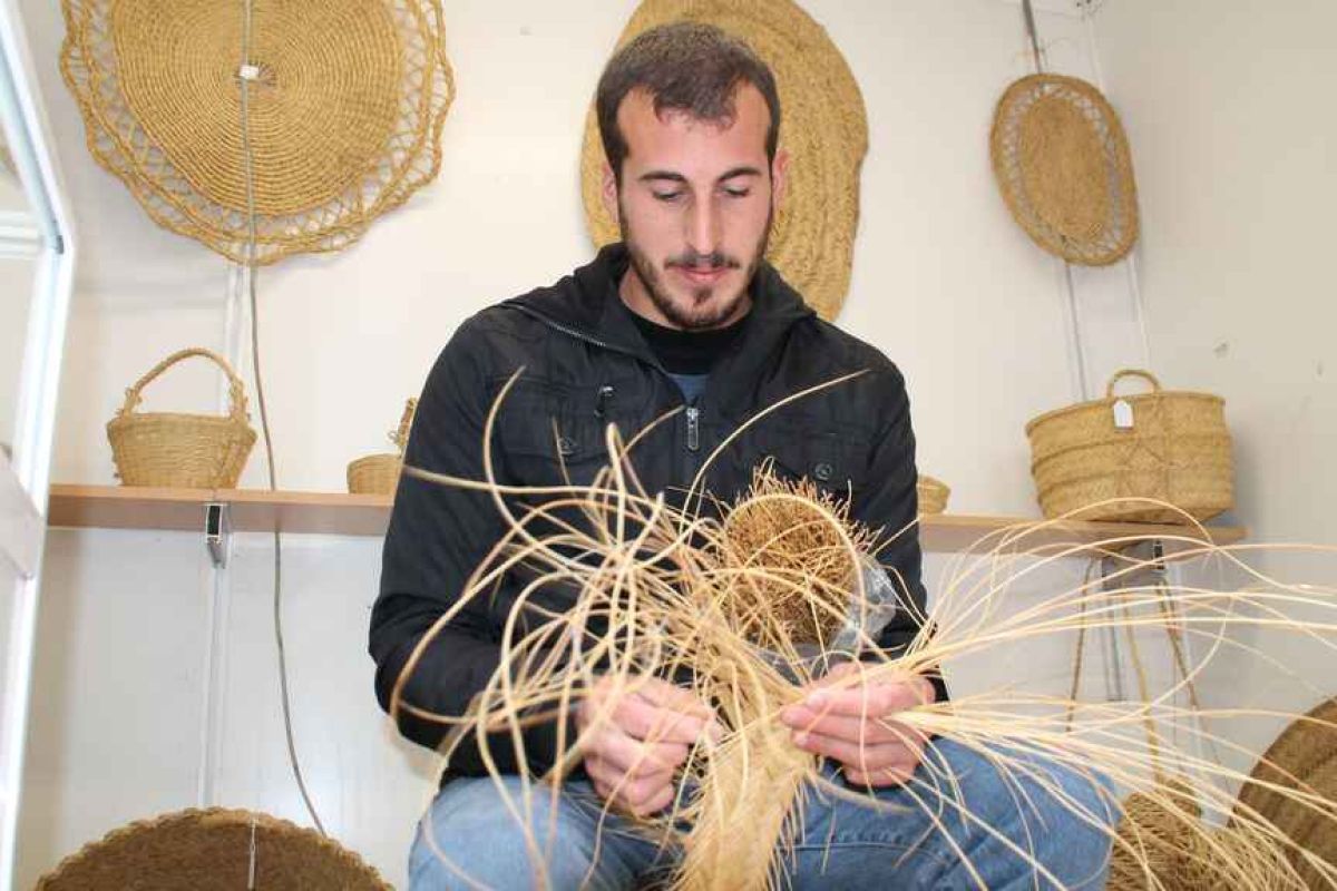 El esparto: de cultivo olvidado a alternativa sostenible al plástico