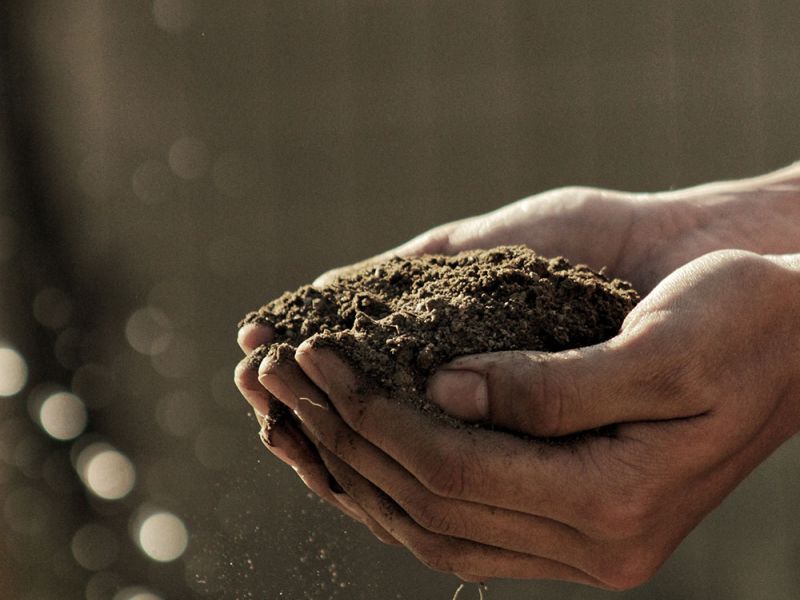 Últimos días de la convocatoria Terralimenta para los Grupos LEADER de España