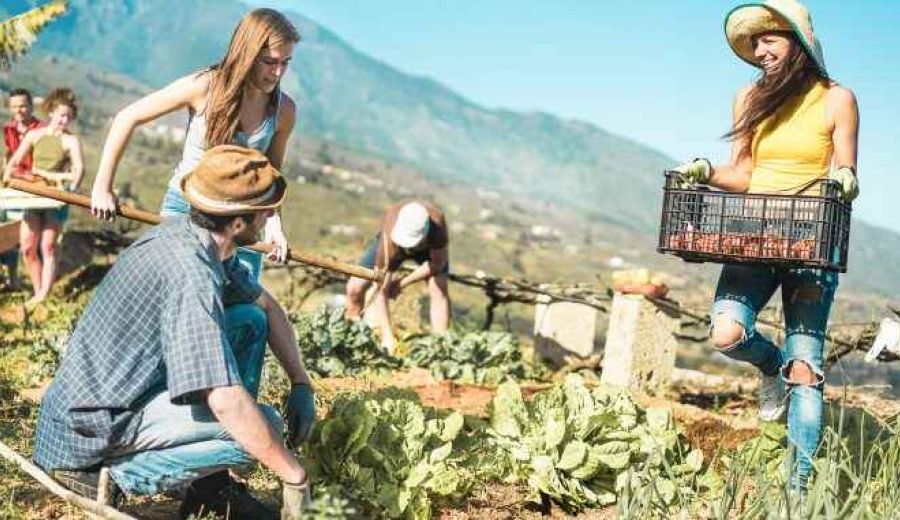 Innovación social: una herramienta imprescindible para las zonas rurales marginadas