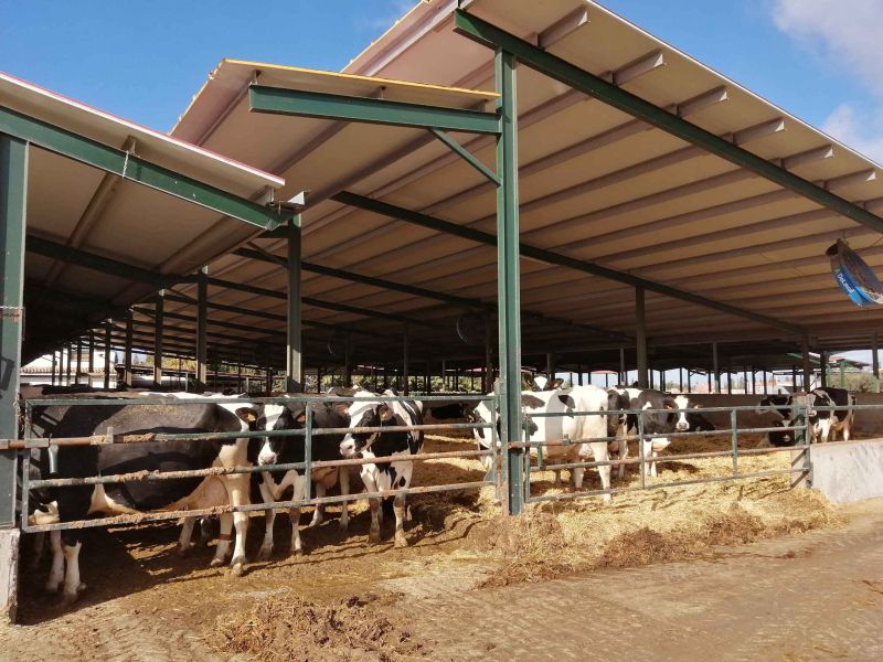 Las ayudas LEADER llegan a pequeñas empresas y al sector agrario de Antequera