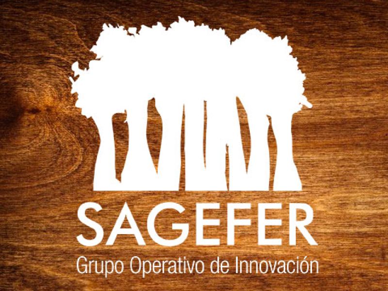 El GDR Serranía Suroeste Sevillana participa en el Grupo Operativo SAGEFER sobre desarrollo de un sistema de apoyo a la gestión forestal en red