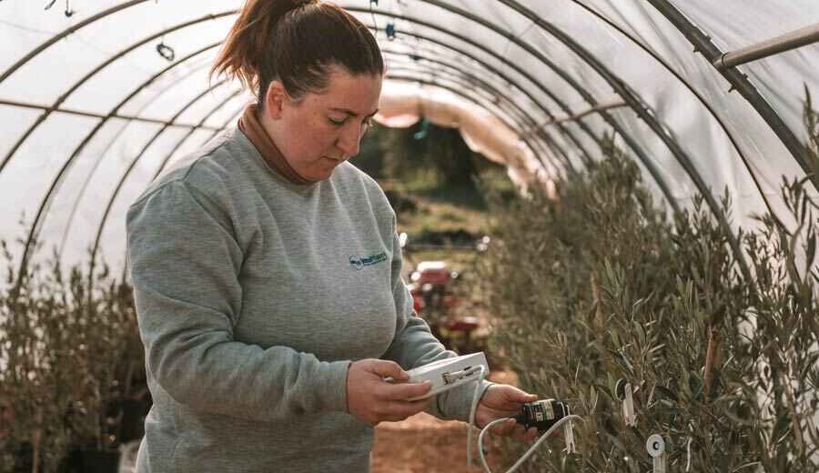 Mujeres rurales: el reto de emprender en el campo