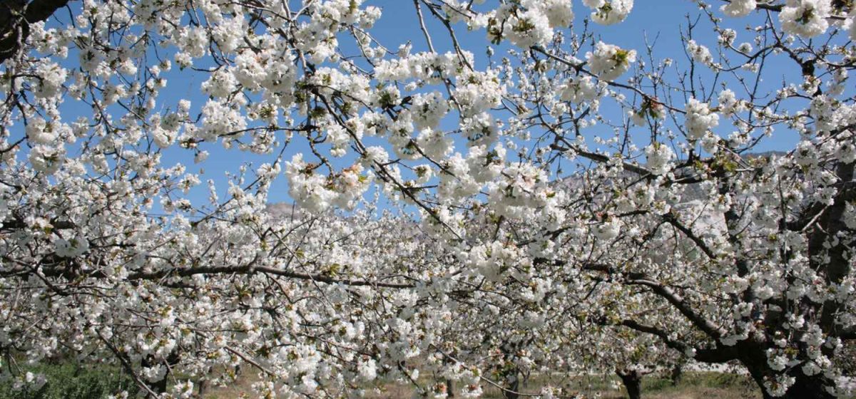 img gdr lecrin temple costa 31271fdf