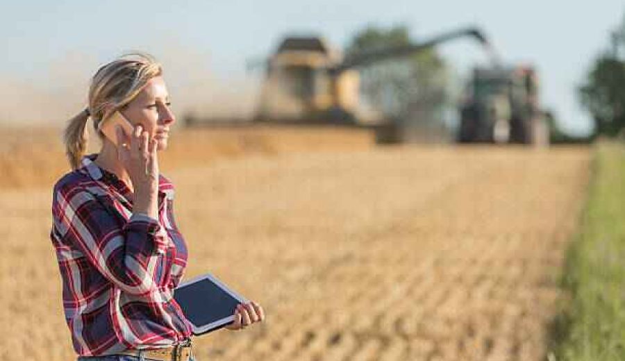 El Ministerio de Agricultura convoca ayudas por 46,5M€ para proyectos de innovación suprautonómicos