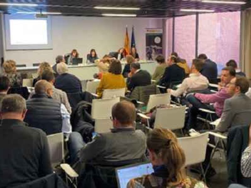 El subgrupo LEADER y el desarrollo local en el Objetivo Específico 8 de la futura PAC