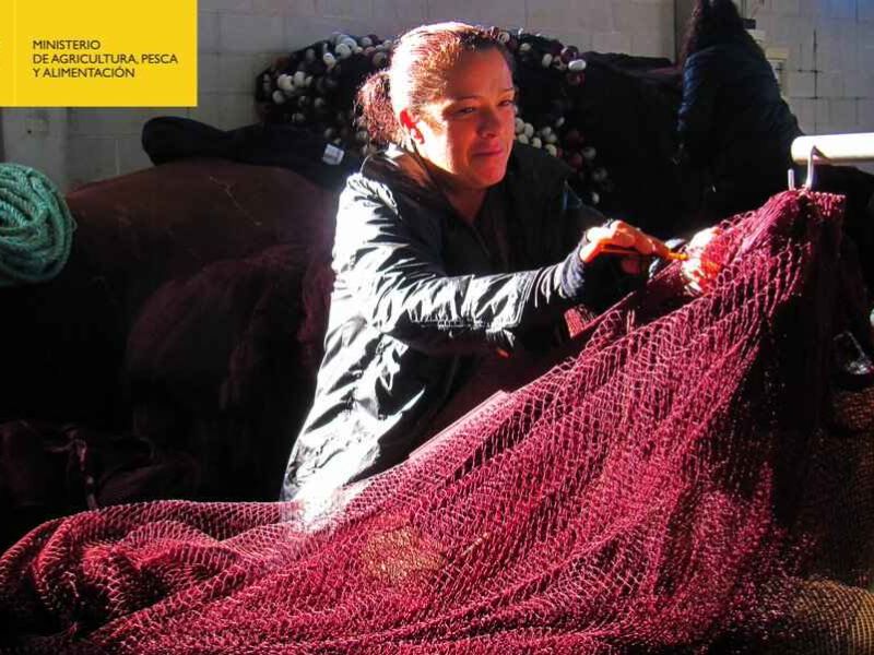 El Ministerio de Agricultura, Pesca y Alimentación amplía los “Premios de Excelencia a la Innovación para mujeres rurales” para incluir la actividad pesquera o acuícola
