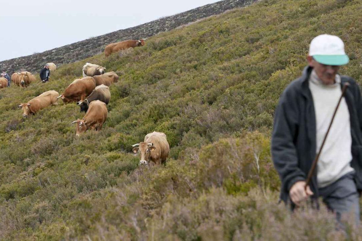 Formación y un sueldo durante ocho meses, la apuesta de la Deputación de Lugo para fijar población joven en el medio rural