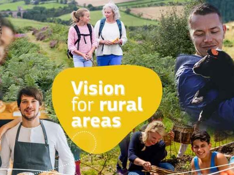 Visión a largo plazo para las zonas rurales: por unas zonas rurales de la UE más fuertes, conectadas, resilientes y prósperas