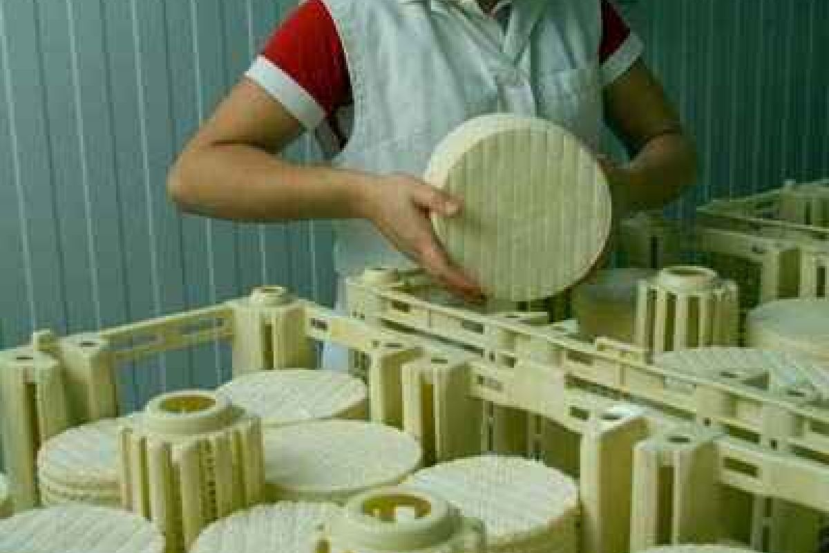 Aprobado el Estatuto de las Mujeres Rurales de Castilla-La Mancha