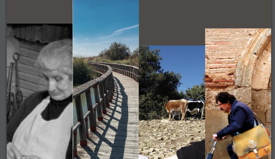 Buenas prácticas de dinamización rural y Rural Proofing ¡ponte las gafas rurales!