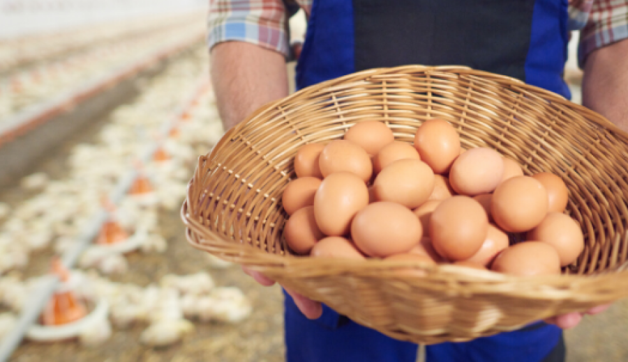 La Unión Europea refuerza el sistema agrícola con la estrategia “de la granja a la mesa”