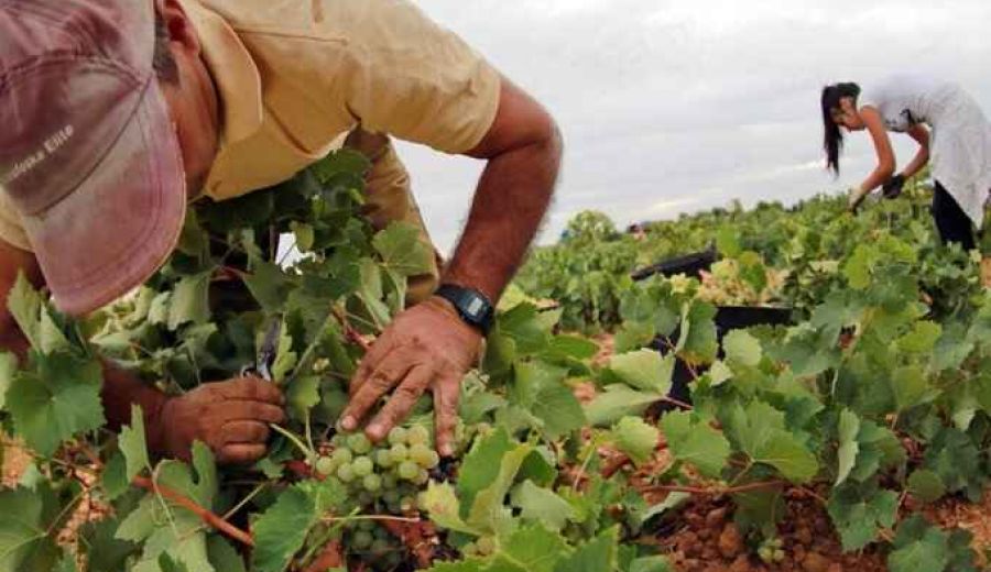 La futura Ley de Desarrollo Rural Territorial de C-LM apostará por reducir la fiscalidad