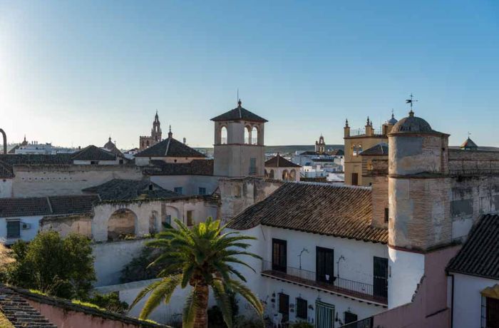 Campiña y los Alcores de Sevilla: “LEADER ha generado un gran esfuerzo inversor  del empresariado del territorio”