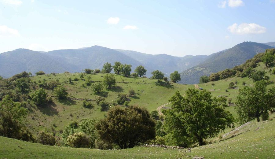 El GDR Sierra Sur de Jaén aprueba 11 proyectos LEADER con una inversión total de 701.147€ en la comarca