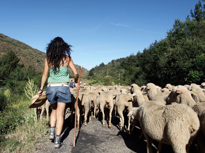 Acceso a la tierra, financiación y formación, pilares del relevo generacional en el medio rural