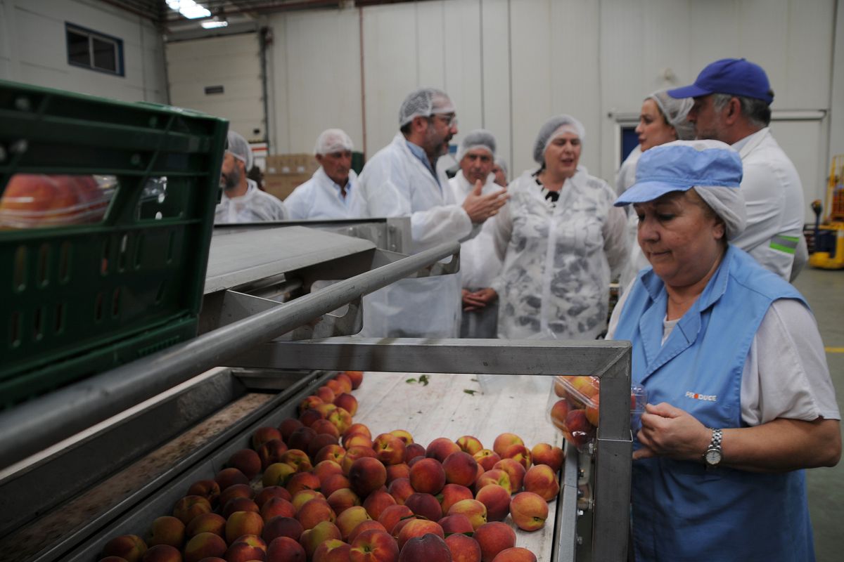 La industria agroalimentaria de Gran Vega de Sevilla crece con LEADER