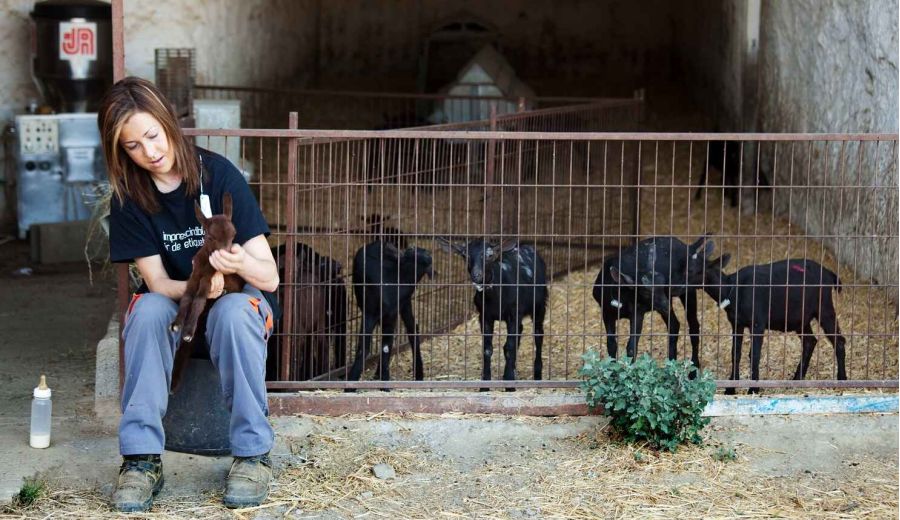 El Ministerio de Agricultura, Pesca y Alimentación convocará ayudas por 1,5 millones de euros para explotaciones agrarias de titularidad compartida en 2022