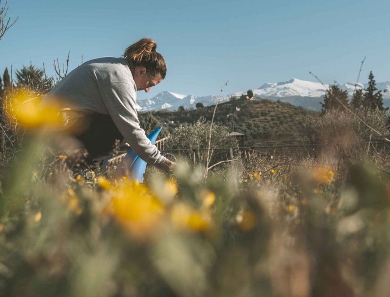De cultivar plantas para la Luna a transformar territorios: 35 años de ideas nacidas desde los pueblos