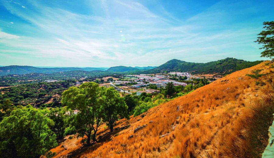 ARA pide que se incluya el desarrollo rural en el grupo de expertos andaluces para la PAC 2021-2027