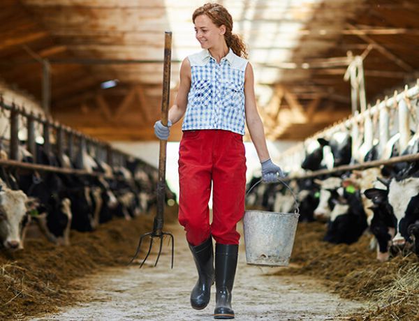 plan igualdad 351e66aa