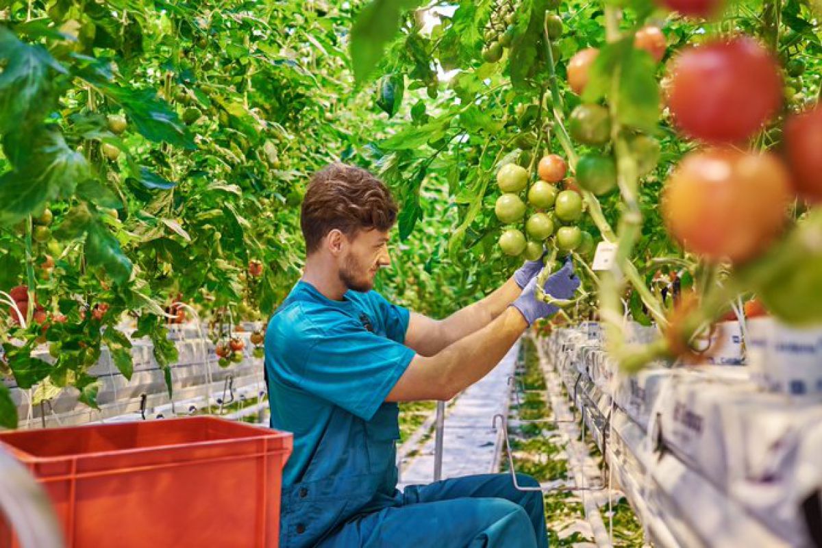 Emprendedores andaluces hacen de la agricultura un sector más eficiente a través de la tecnología