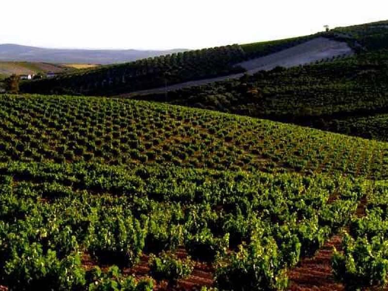 El Grupo Campiña Sur de Córdoba impulsa ayudas de más de un millón de euros para proyectos de desarrollo territorial