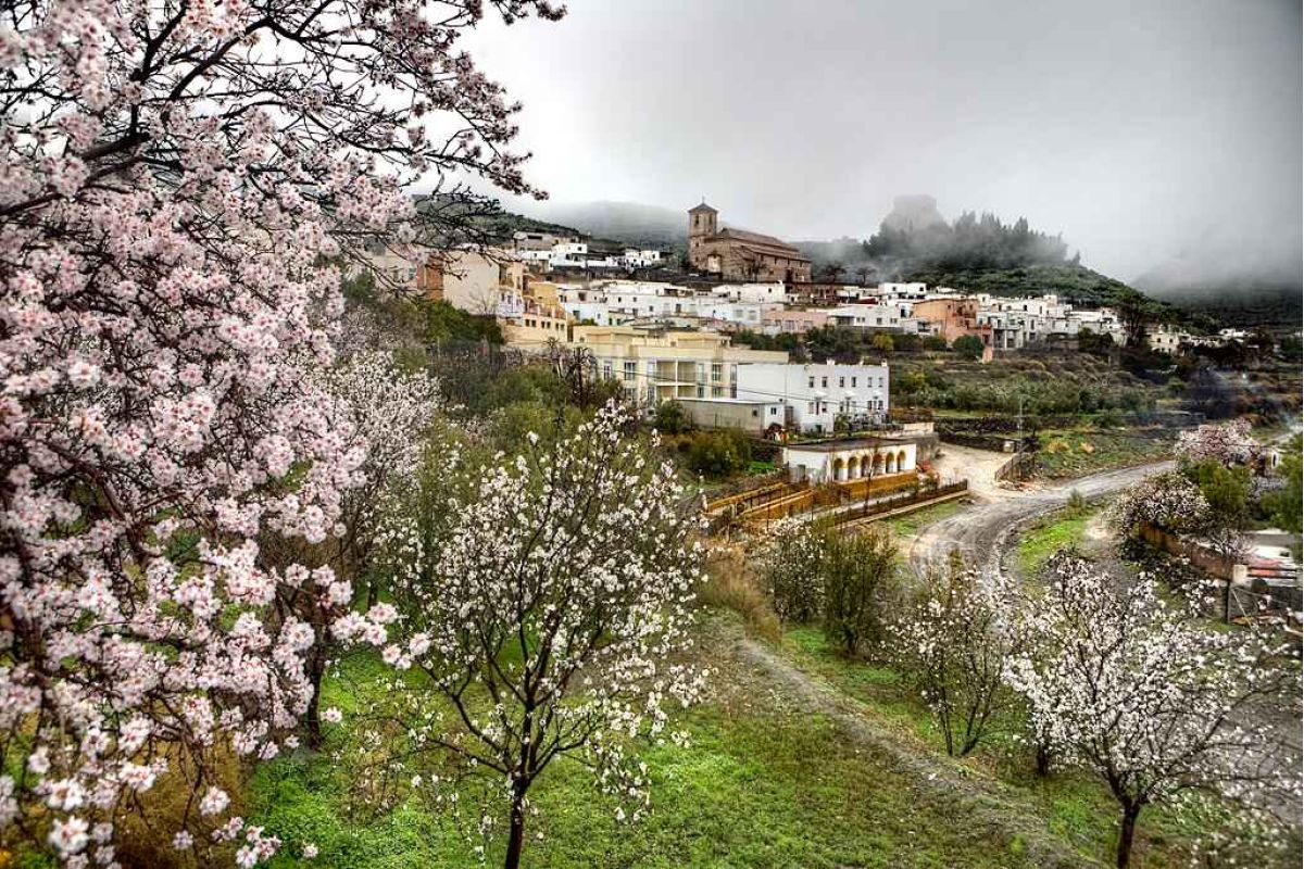 ¿Quién defiende al medio rural?