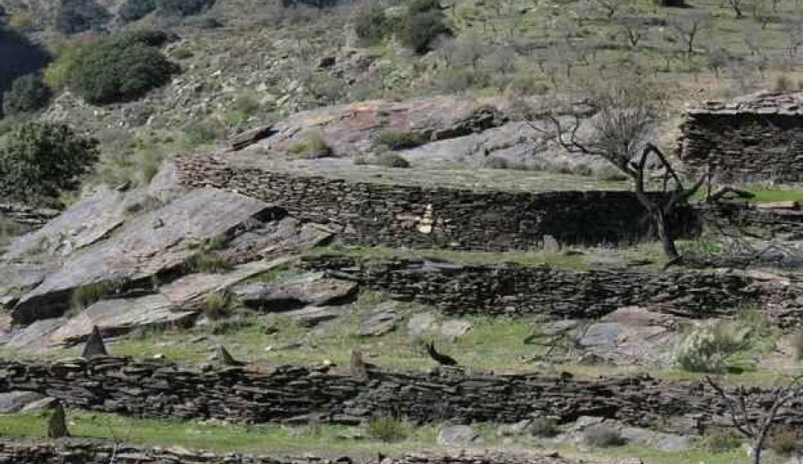 Los balates de la Axarquía, reconocidos como Patrimonio de la Humanidad por la Unesco