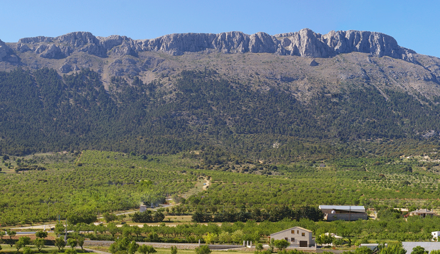 La Fundación Biodiversidad ofrece formación gratuita a más de 600 personas para emprender en la economía verde