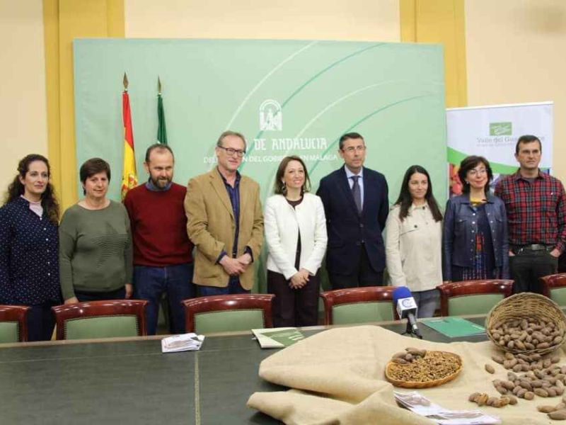 Ponen en marcha un proyecto innovador para potenciar el desarrollo económico y agrario de la nuez pacana