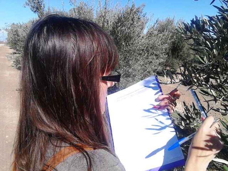 Las mujeres toman las riendas del emprendimiento en el mundo rural