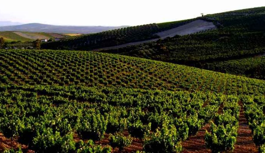 Abierto el plazo de solicitud de ayudas en la EDL Campiña Sur Cordobesa por importe de 1.416.895 euros