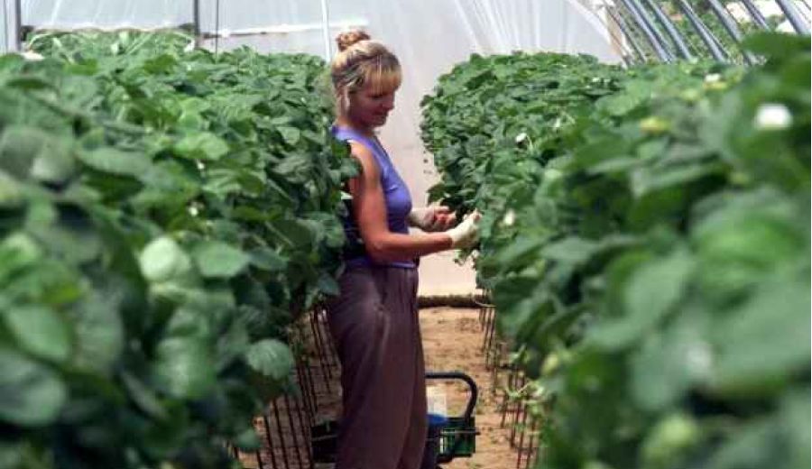 El empoderamiento de la mujer rural, un elemento clave para el futuro de la Humanidad