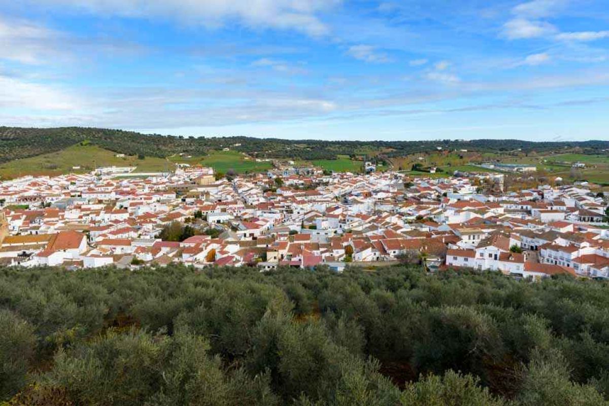 Publicado el “Informe Anual de Indicadores de la Agricultura, Pesca y Alimentación 2020” con datos de los diferentes PDR autonómicos