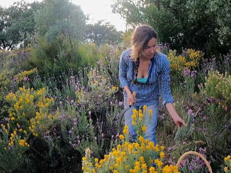 El mejor bálsamo para emprender está en la Sierra de Aracena y Picos de Aroche