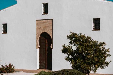 img centro alma 005 39218858