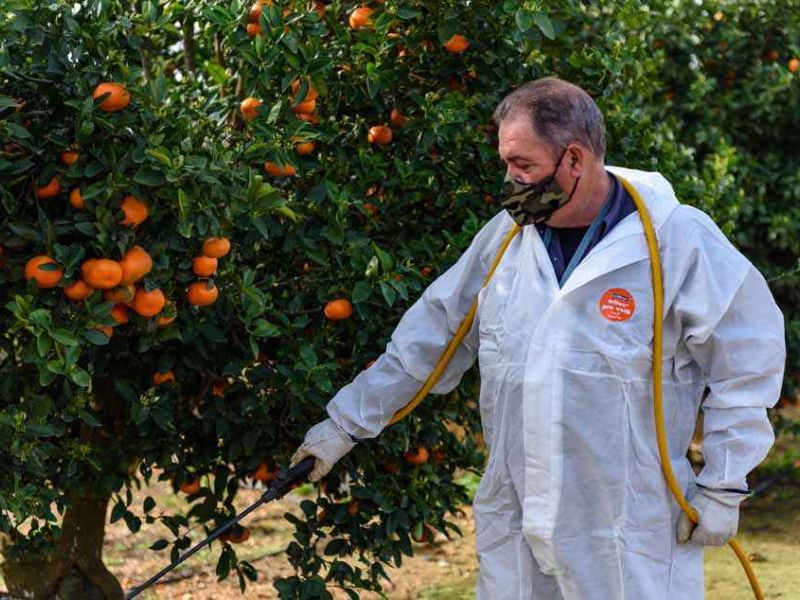 El Gobierno aprueba las últimas normas necesarias para aplicar la PAC 2023-2027