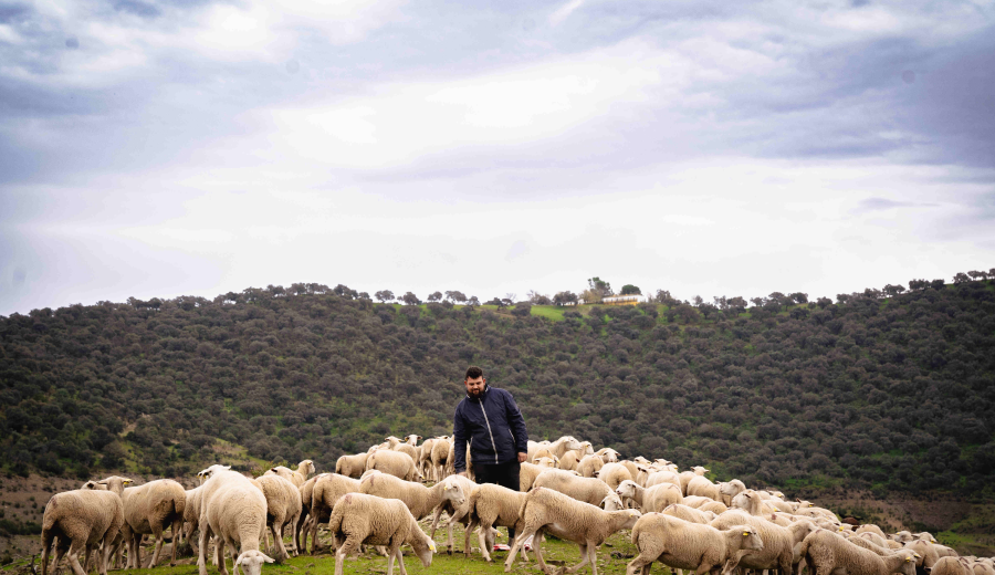 Dos proyectos de emprendimiento rural en Andalucía, premiados en el programa “Tierra de Oportunidades” de Caixabank