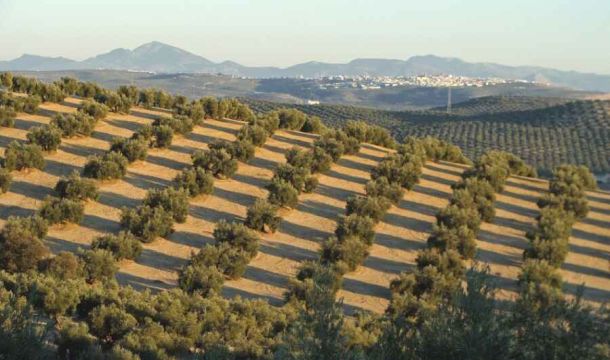 Grupo de Desarrollo Rural Guadajoz – Campiña Este de Córdoba